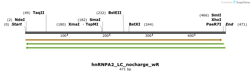 269184_map