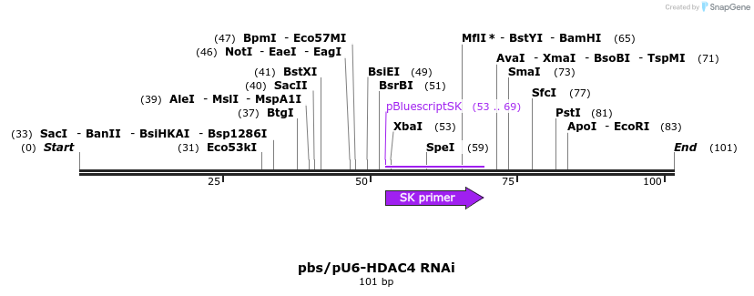 26919_map