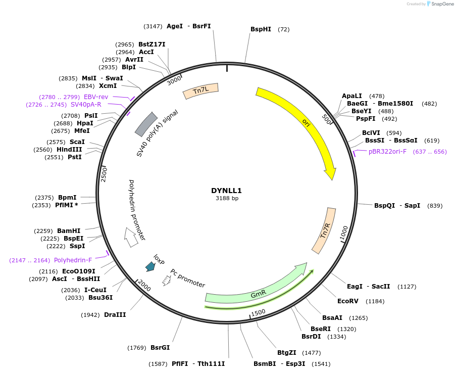 269201_map