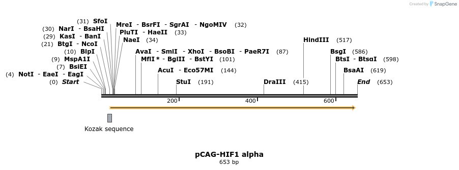 26921_map