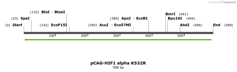 26922_map