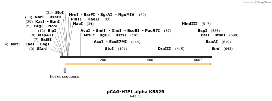 26923_map