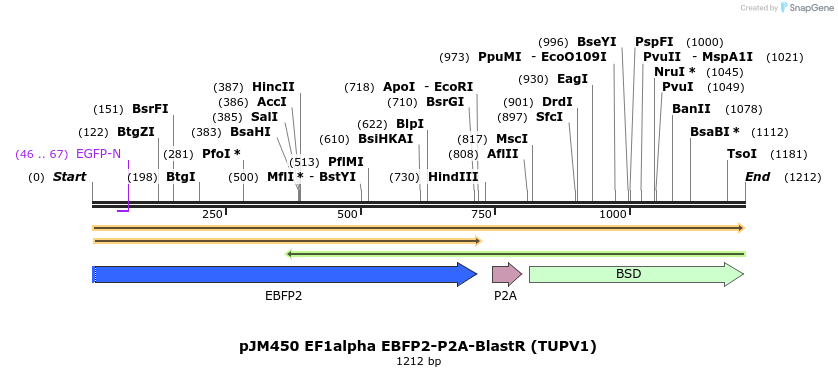 269300_map