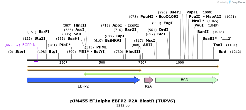 269310_map