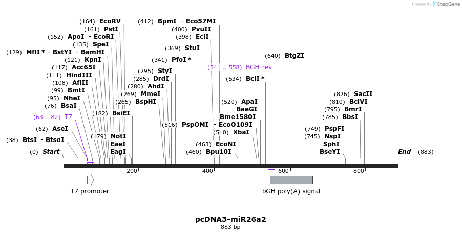 26933_map