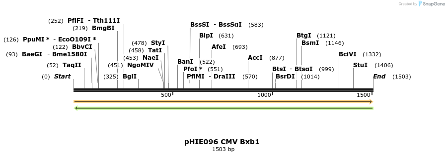 269340_map