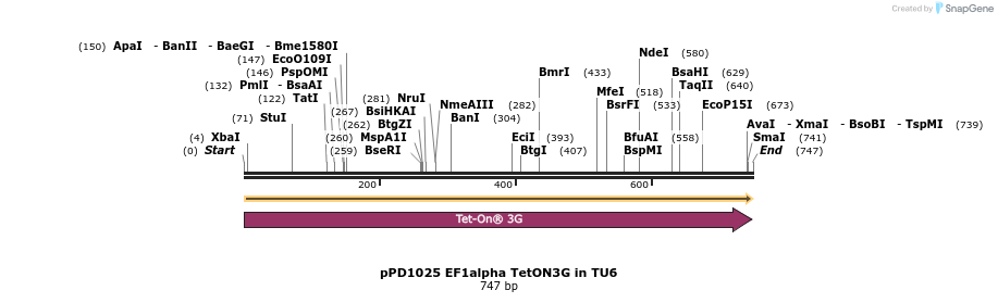 269358_map