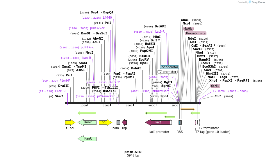 269401_map