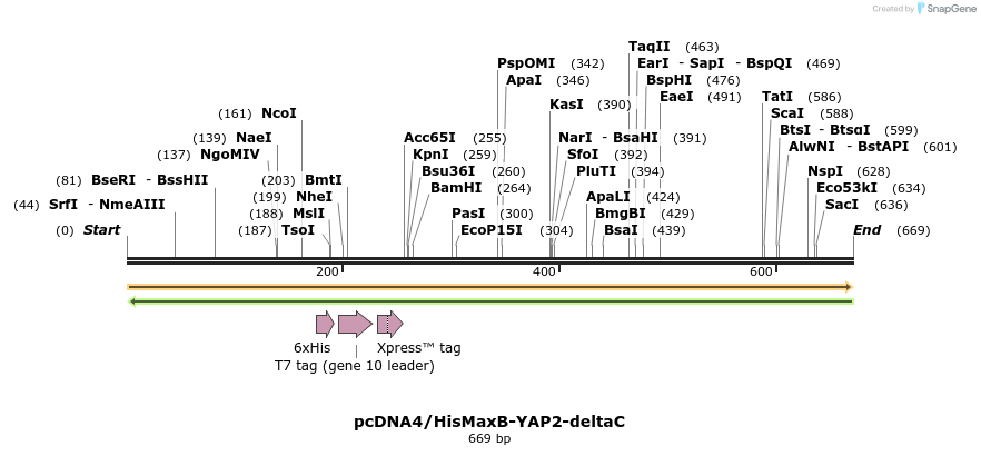 26941_map