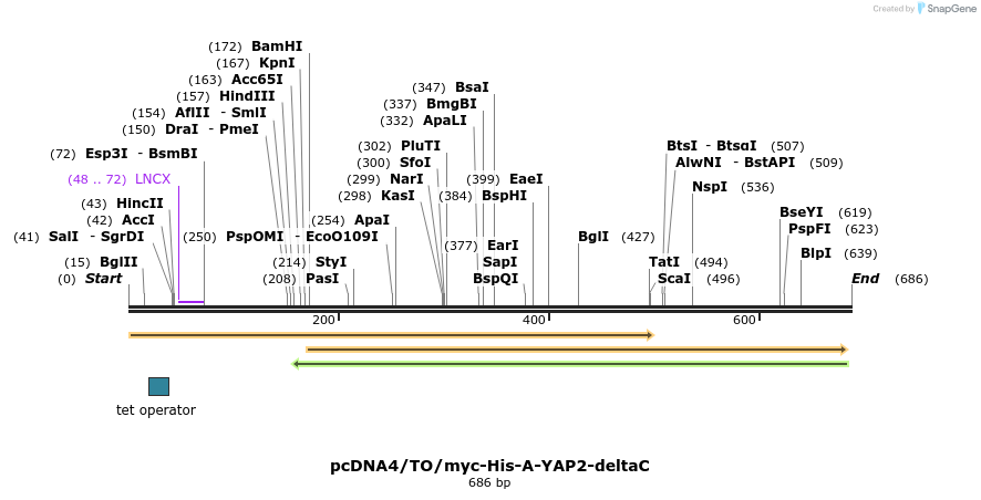 26943_map
