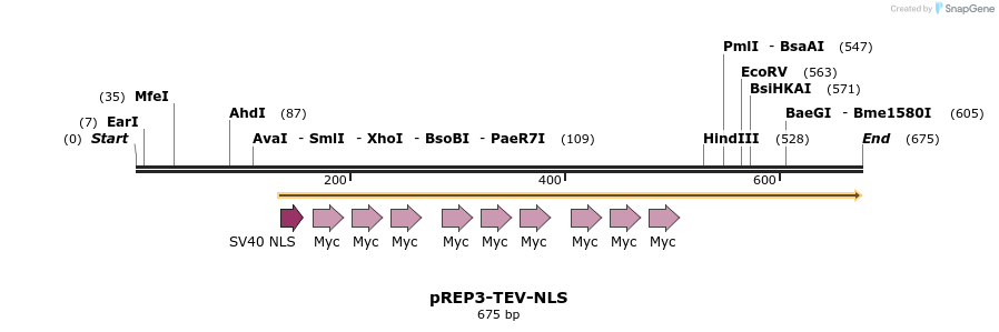 26954_map