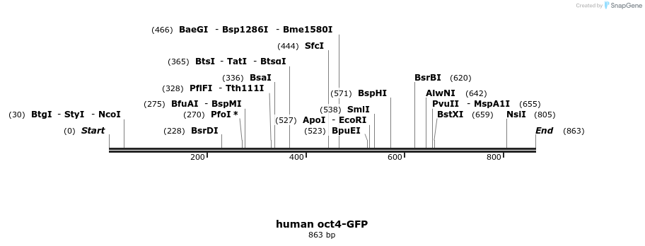 26955_map