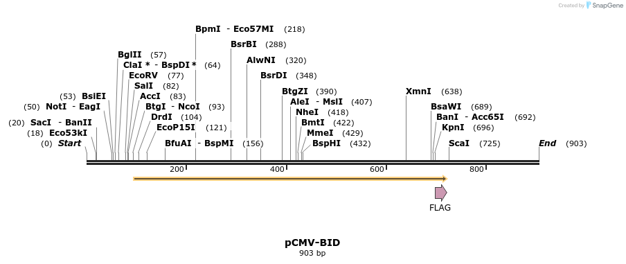 26956_map