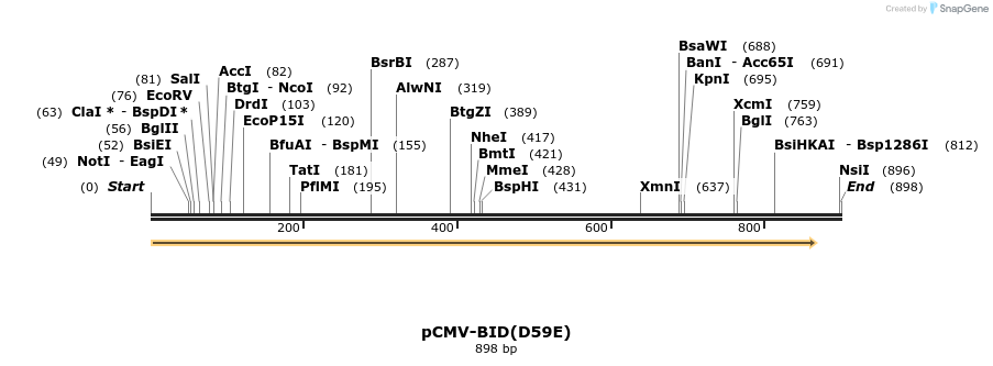 26958_map