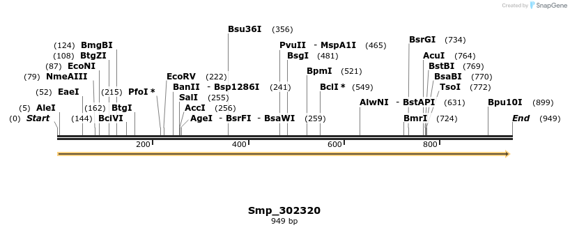269580_map