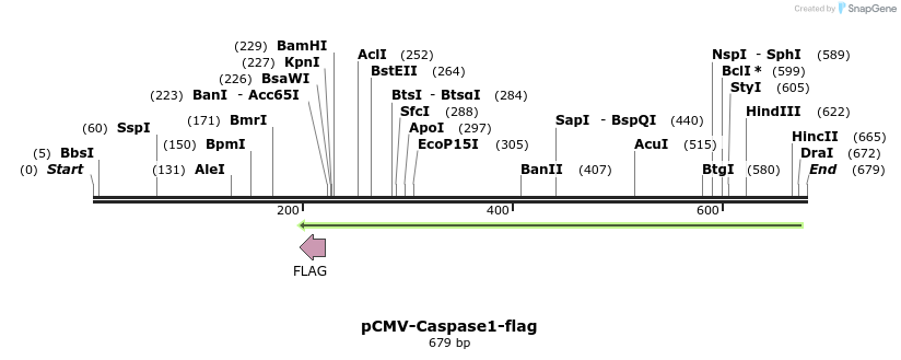 26962_map