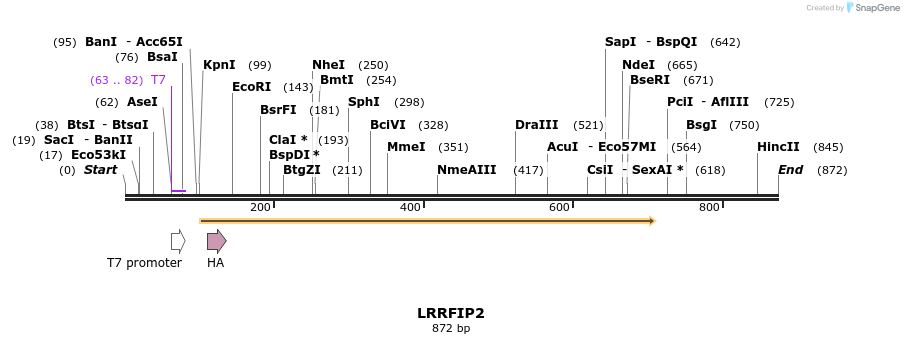 26966_map