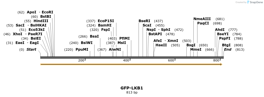 26967_map