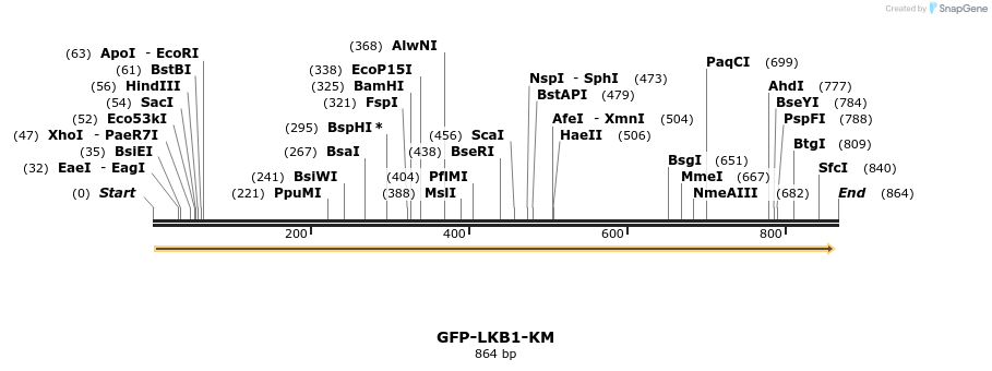 26968_map