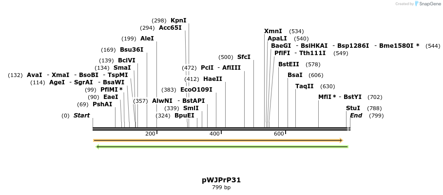 26971_map