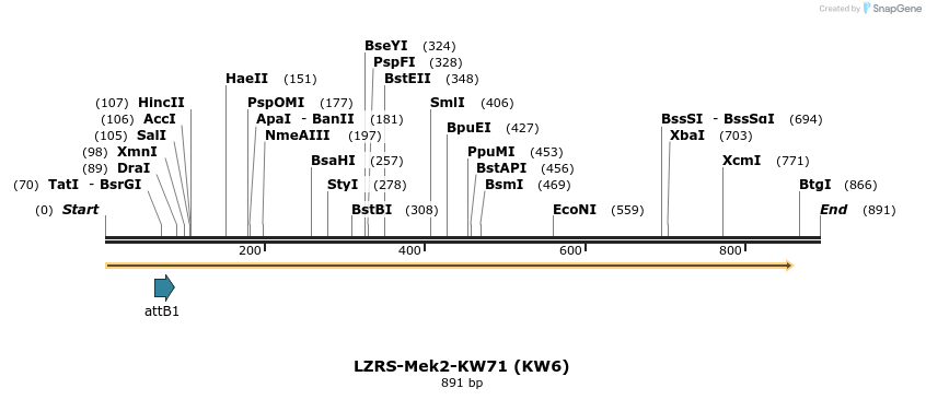 26977_map