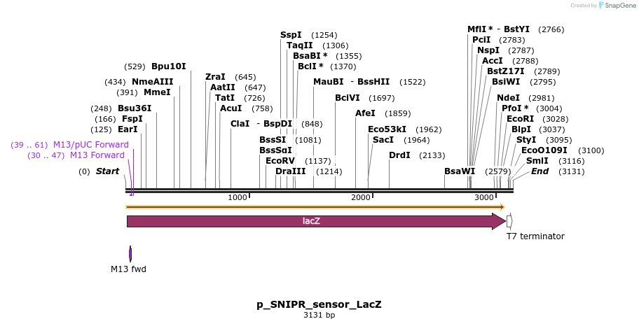 269772_map