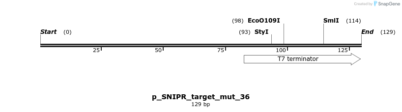 269776_map