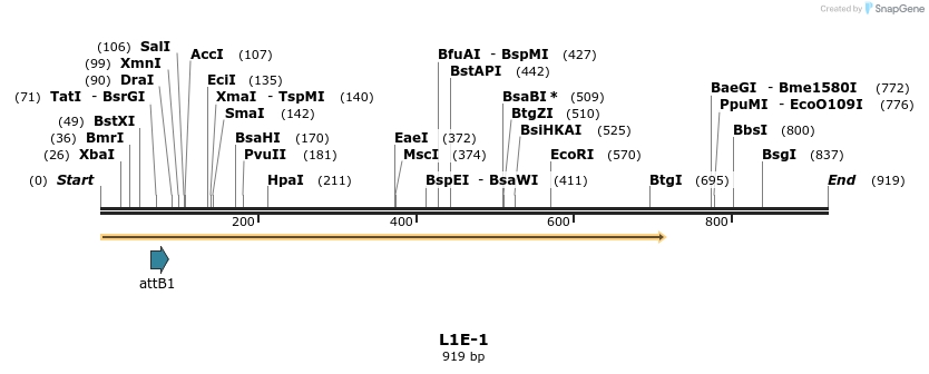 26981_map