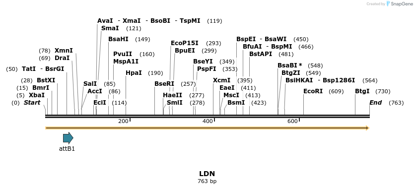 26984_map