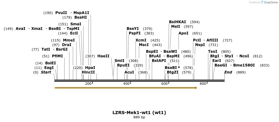 26986_map
