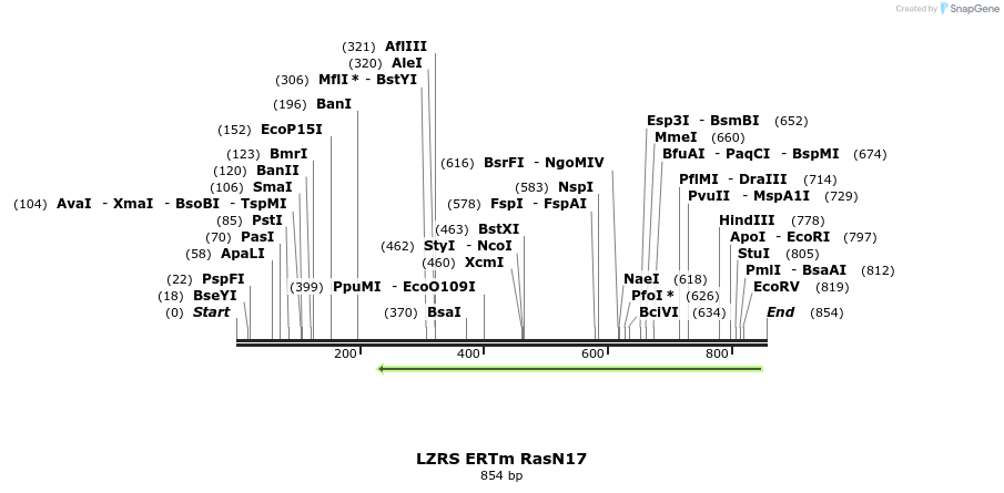 26988_map