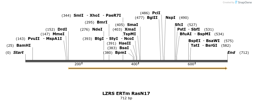 26989_map