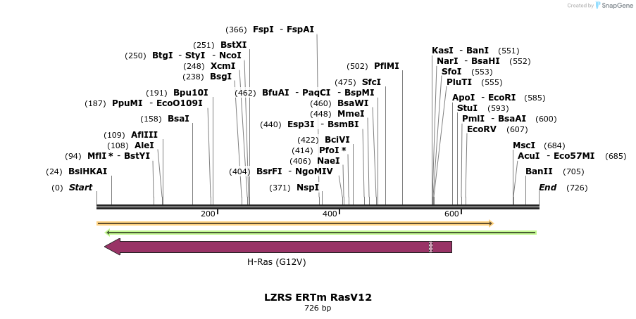 26990_map