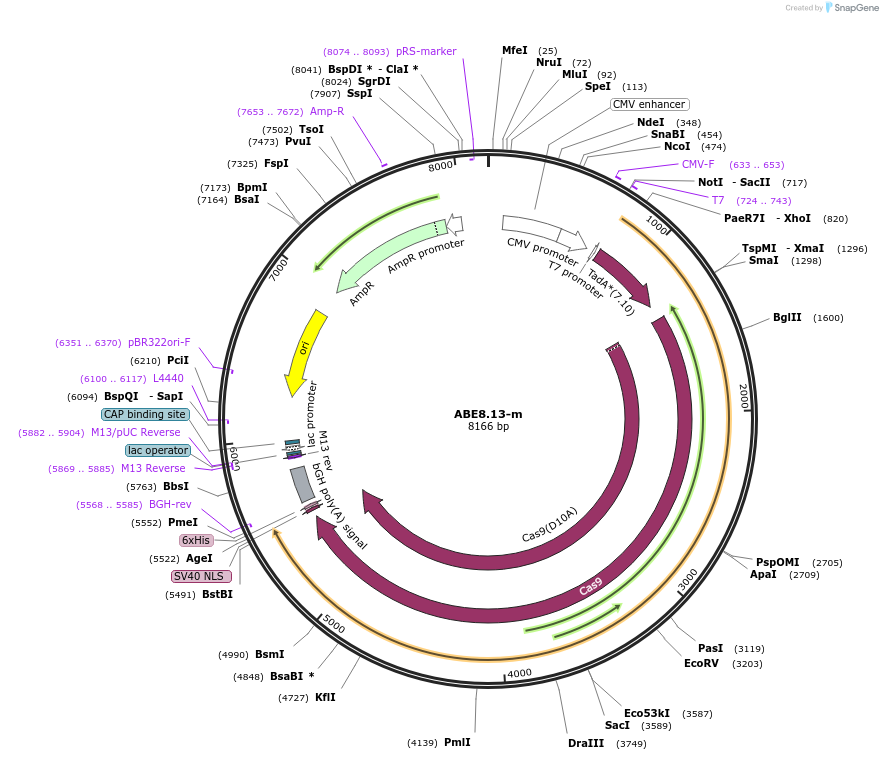 269921_map