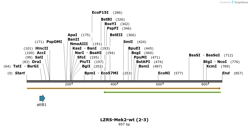 26994_map