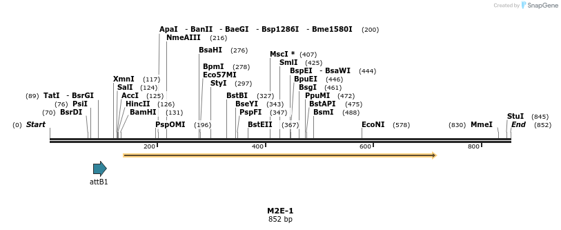 26997_map
