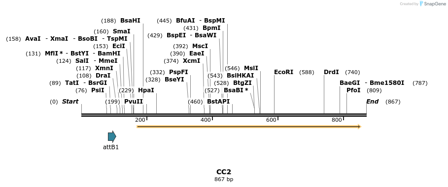 26998_map