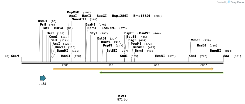 27001_map