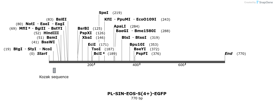 27009_map