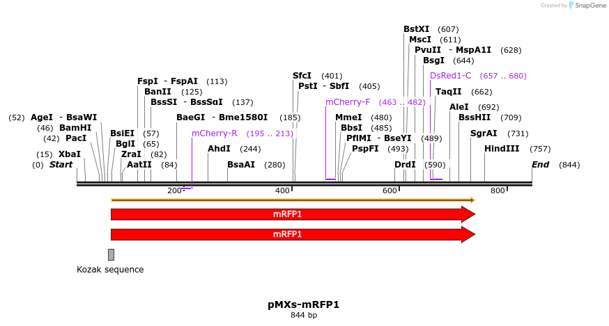 27011_map