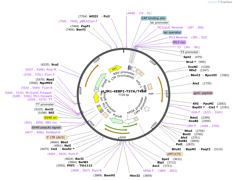 270114_map