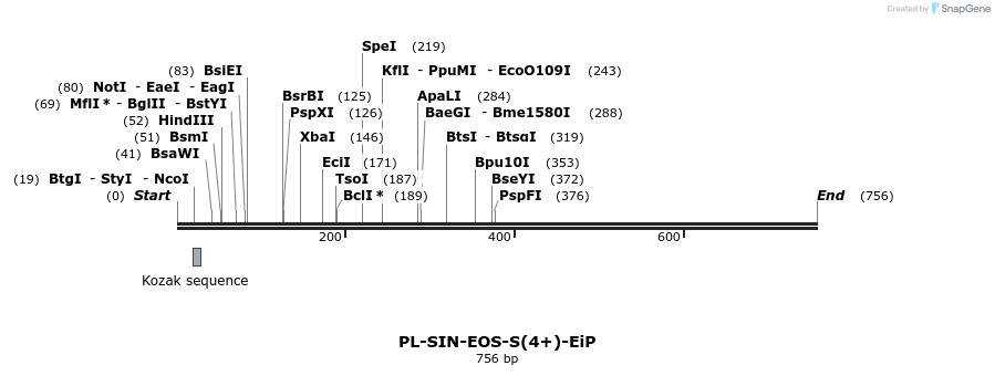 27012_map