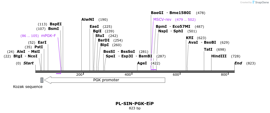 27014_map