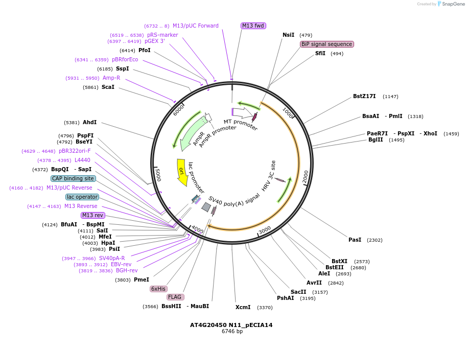 270159_map