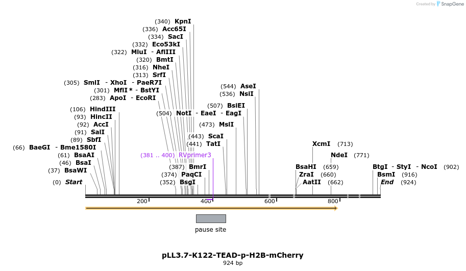 270190_map