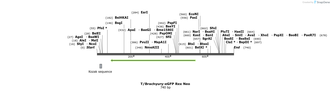 27020_map