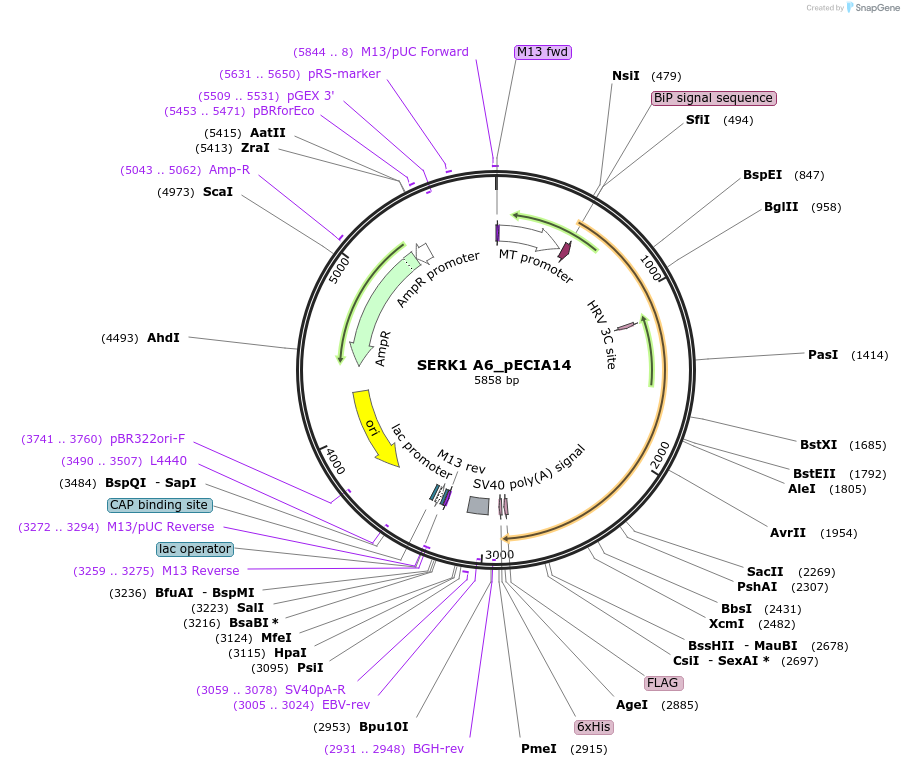 270203_map