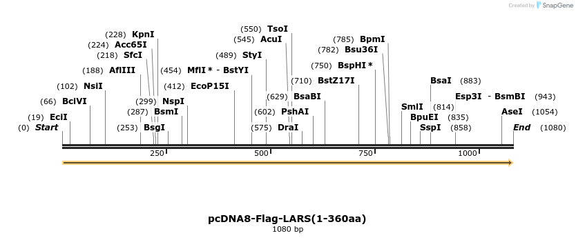 270230_map
