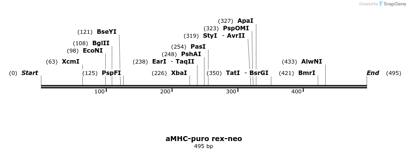 27024_map