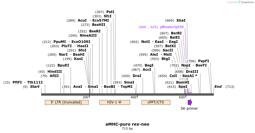 27025_map
